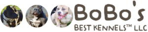 BoBo's Best Kennels LLC