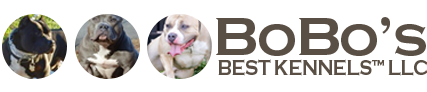 BoBo's Best Kennels LLC