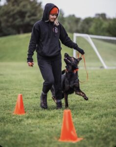 Dog Training Drill
